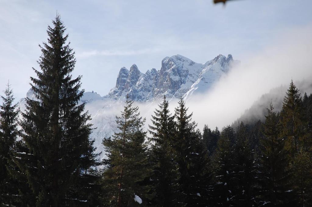 Albergo Ristorante Cacciatori Auronzo di Cadore Exteriör bild